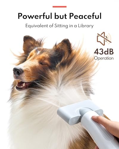 41YUE1BjCsL Pet Hair Drye