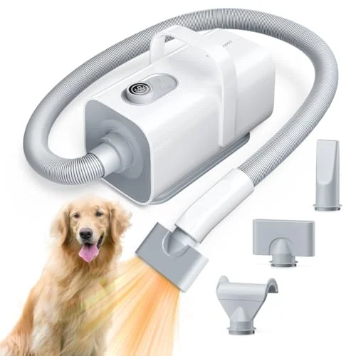 41eZ-m3RIDL Pet Hair Drye