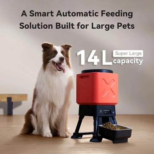 Smart Dog Feeder