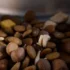 Smart Dog Feeder
