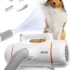 Dual‑Motor Pet Dryer