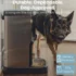 61XuDenK7TL._AC_SL1080_ Smart Pet Camera Feeder