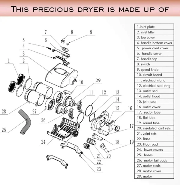Dual‑Motor Pet Dryer