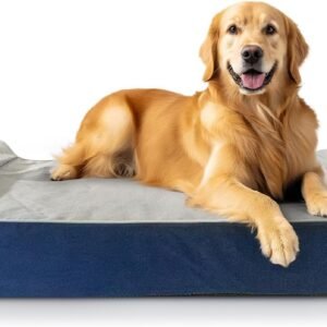 Laifug Orthopedic Dog Bed