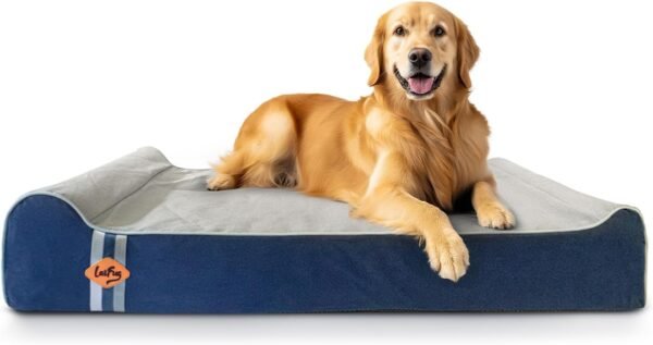 61bhwkyAfCL._AC_SL1500_ Laifug Orthopedic Dog Bed