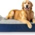 61bhwkyAfCL._AC_SL1500_ Laifug Orthopedic Dog Bed