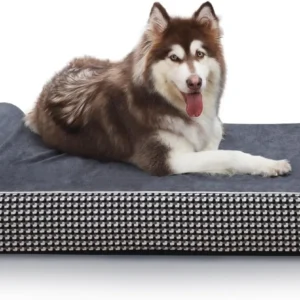 Orthopedic Memory Foam Dog Bed