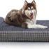 Orthopedic Memory Foam Dog Bed