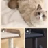 715ev0jNzAL._AC_SL1500_ 43.7" Easy‑Assemble Modern Cat Tree
