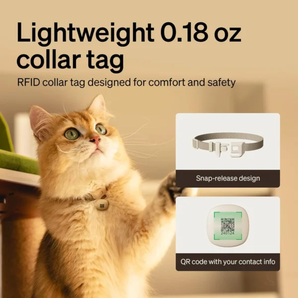 3L RFID Smart Cat Feeder