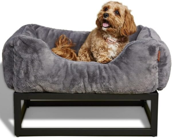 Raised Elevated Pet Dog Bed