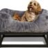Raised Elevated Pet Dog Bed