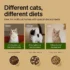 3L RFID Smart Cat Feeder