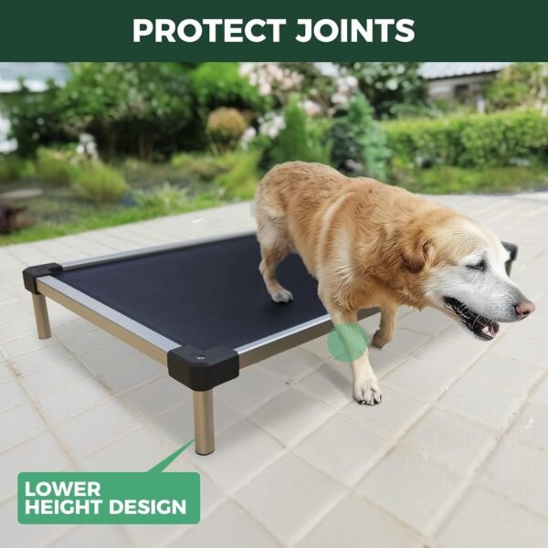 71PpWfKcX4L._AC_SL1500_ FXW Elevated Dog Bed