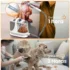 Dog Grooming Vacuum Kit