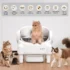 Paruuntys Automatic Litter Box