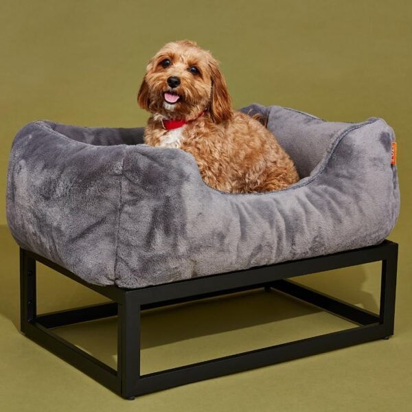 Raised Elevated Pet Dog Bed
