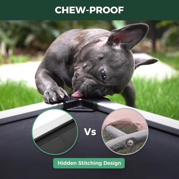 71aYwb2wNFL._AC_SL1500_ FXW Elevated Dog Bed