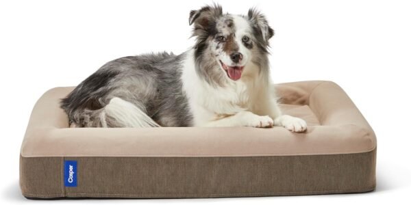 Casper Memory Foam Dog Bed