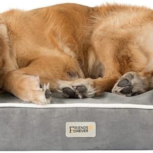 Friends Forever Orthopedic Dog Bed