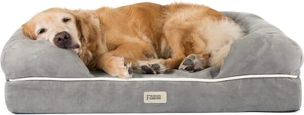 71wbh5g+NFL._AC_SL1500_ Friends Forever Orthopedic Dog Bed