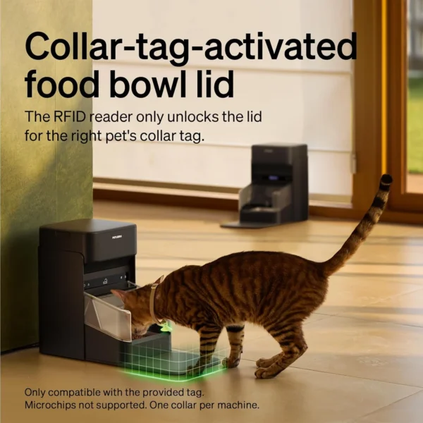 3L RFID Smart Cat Feeder