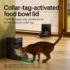 3L RFID Smart Cat Feeder