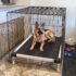 Chew Resistant Dog Bed