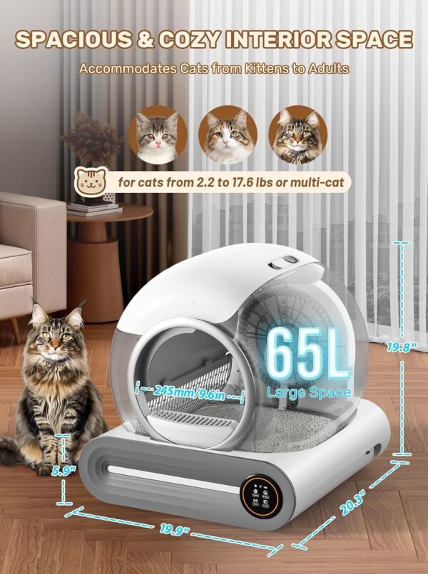 Multi‑Function Automatic Litter Box