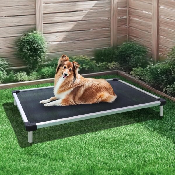 812Ea6WyHoL._AC_SL1500_ FXW Elevated Dog Bed