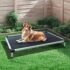 812Ea6WyHoL._AC_SL1500_ FXW Elevated Dog Bed