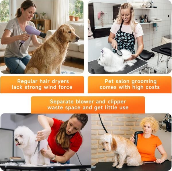 Pet Grooming Vacuum Dryer