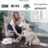 81CO7sWh9LL._AC_SL1500_ Uproot Clean Pet Grooming Vacuum