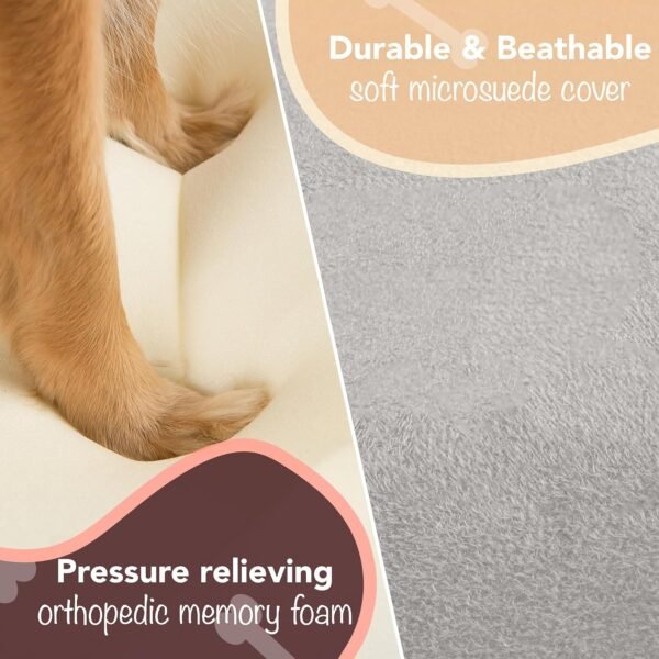 81I56+iMLAL._AC_SL1500_ Friends Forever Orthopedic Dog Bed