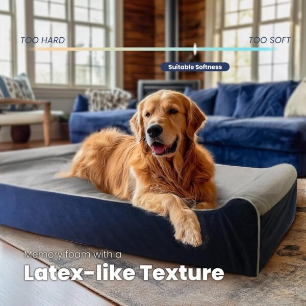 81TLTfJo7nL._AC_SL1500_ Laifug Orthopedic Dog Bed