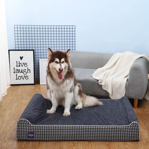 Orthopedic Memory Foam Dog Bed