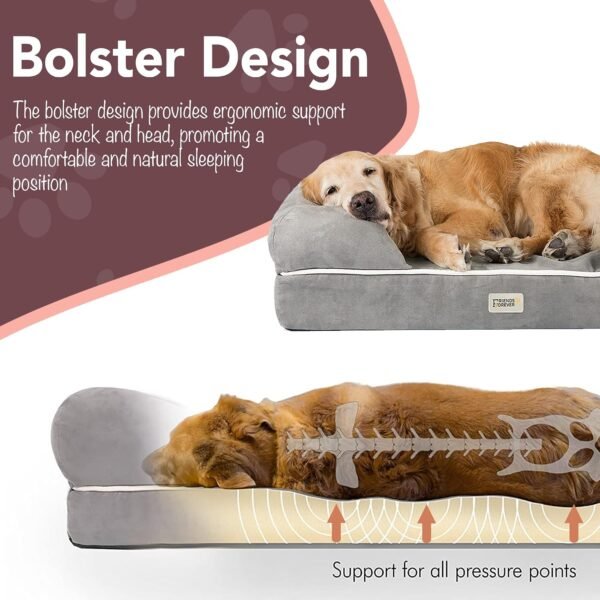 81dbylGUbLL._AC_SL1500_ Friends Forever Orthopedic Dog Bed