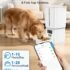lz001-08 Smart 15L Dog Feeder