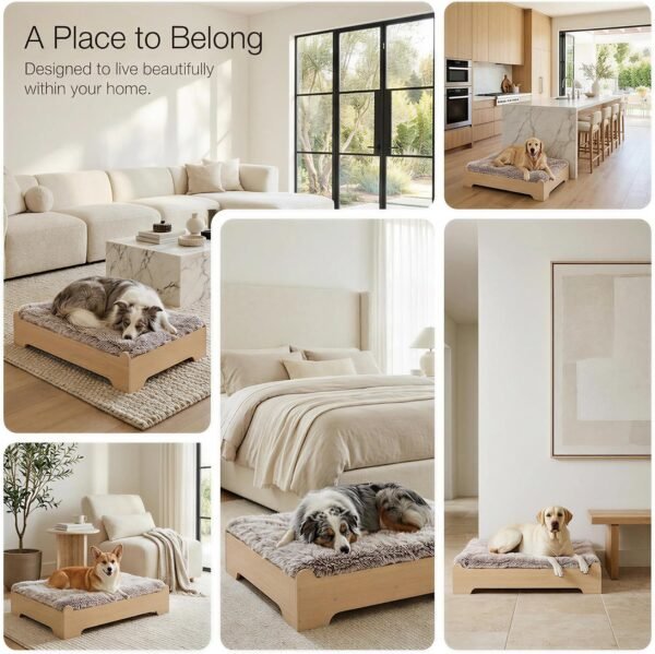 81vHnjUY1kL._AC_SL1500_ Wood Elevated Dog Bed
