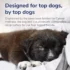 Casper Memory Foam Dog Bed