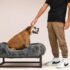 Raised Elevated Pet Dog Bed