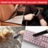 91CE-NKM0IL._AC_SL1500_ Shop‑Vac Pet Grooming Vacuum