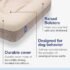Casper Memory Foam Dog Bed