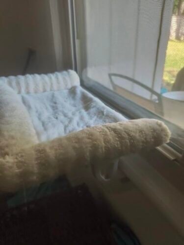 Zakkart 3‑Sided Cat Windowsill Perch photo review