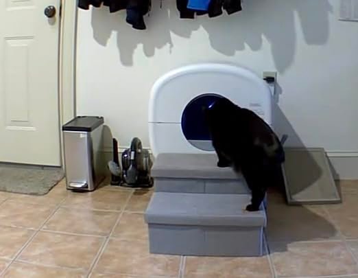 Cumrige Automatic Litter Box photo review