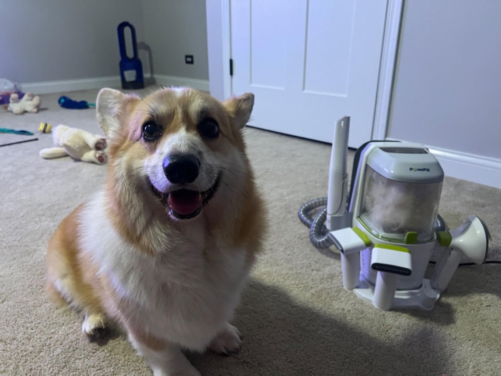 PAWSPIK Pet Vacuum Kit photo review