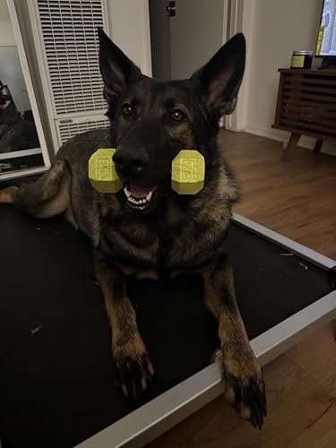 FXW Elevated Dog Bed photo review
