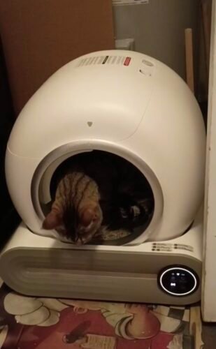 Multi‑Function Automatic Litter Box photo review