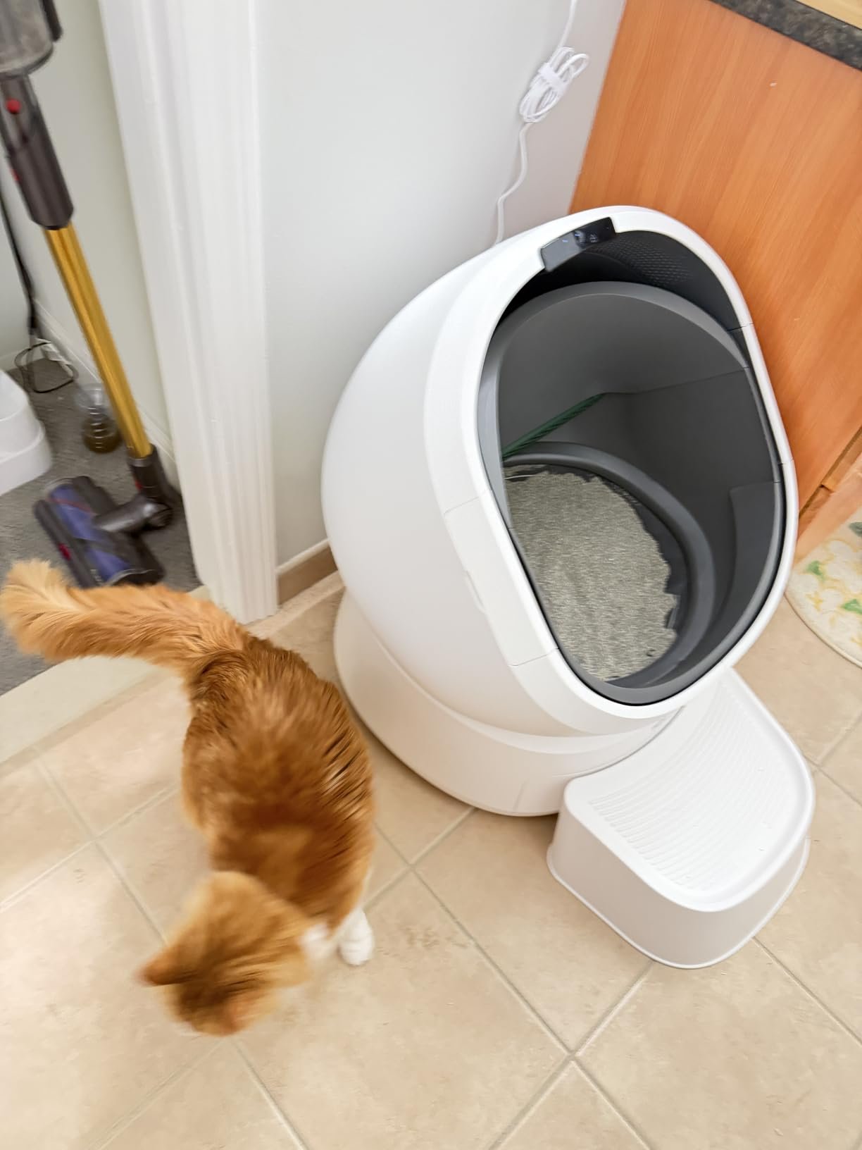 AI‑Powered Open‑Top Litter Box photo review