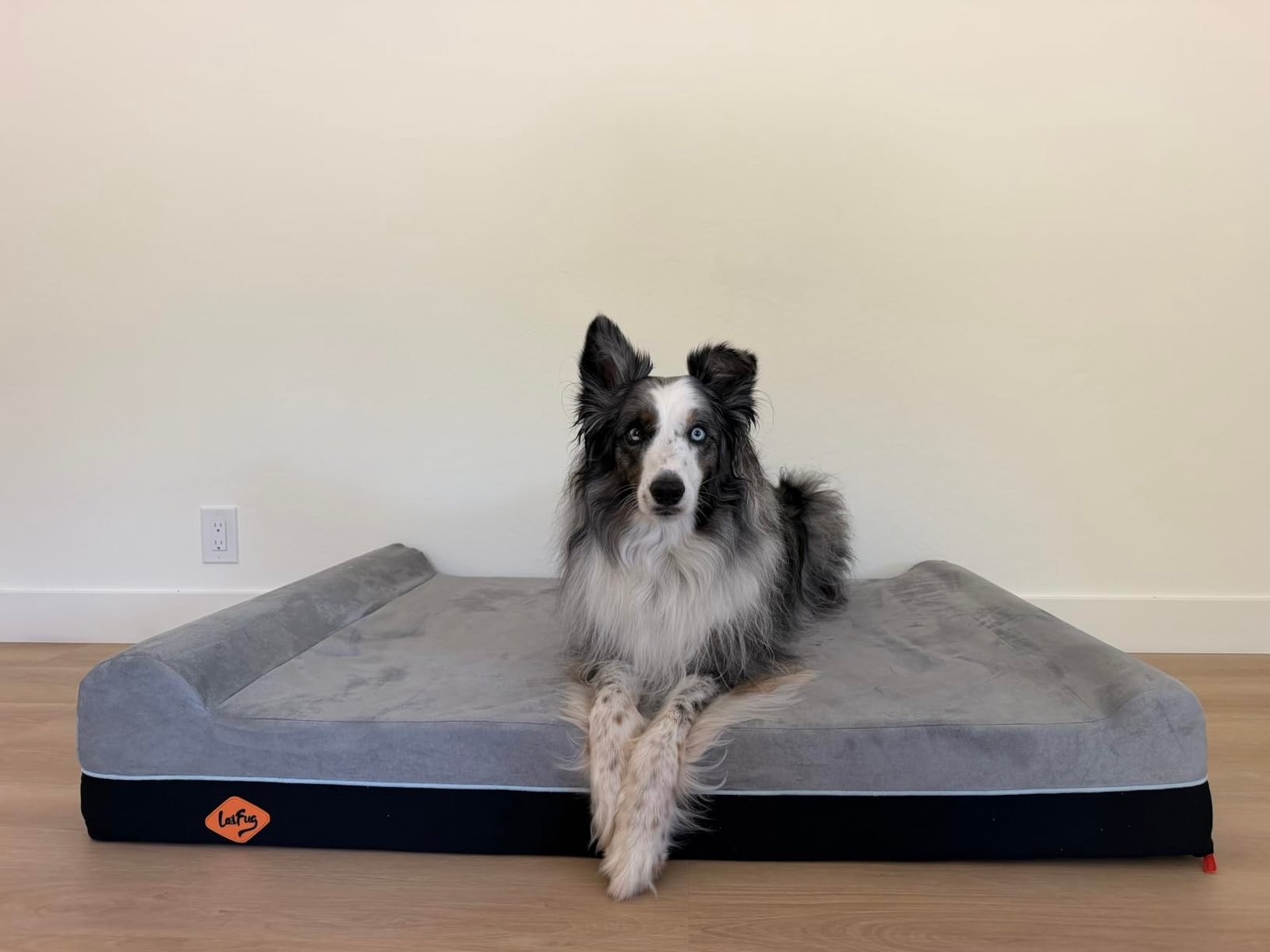 Laifug Orthopedic Dog Bed photo review
